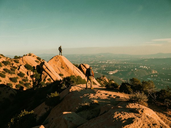Where are the best spots for wildflower‑filled treks in 2026