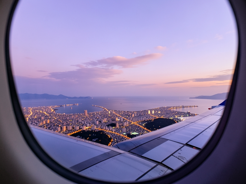 aerial view coastal Japanese city dusk airplane window