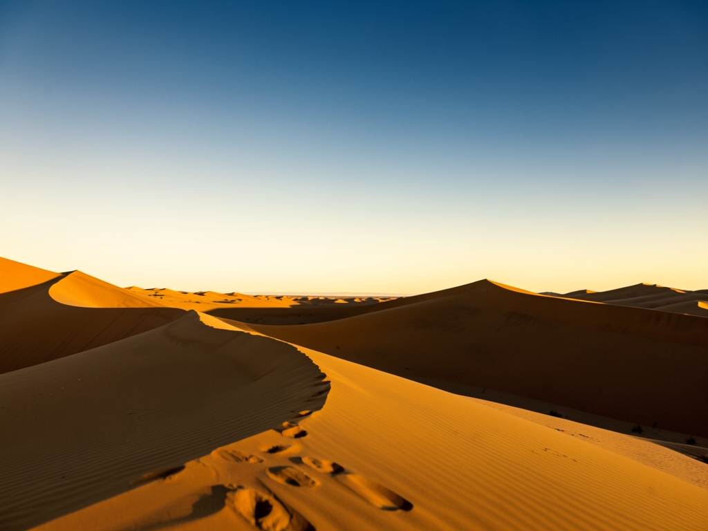 How It Works — How to verify Qatar Qsuite award