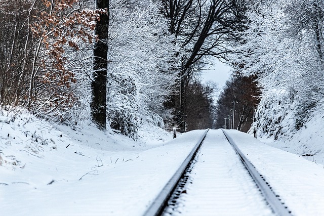 Insider Tactics — 11 Scenic Train Rides in the
