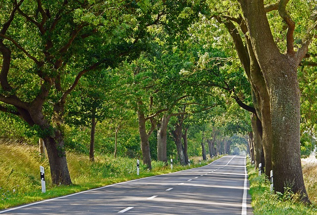 Where to Book: Tools Compared — 2026 Baltics Road Trip Flights