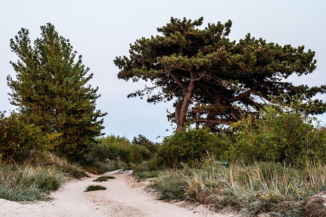 What This Guide Cannot Prove — 2026 Baltics Road Trip Flights
