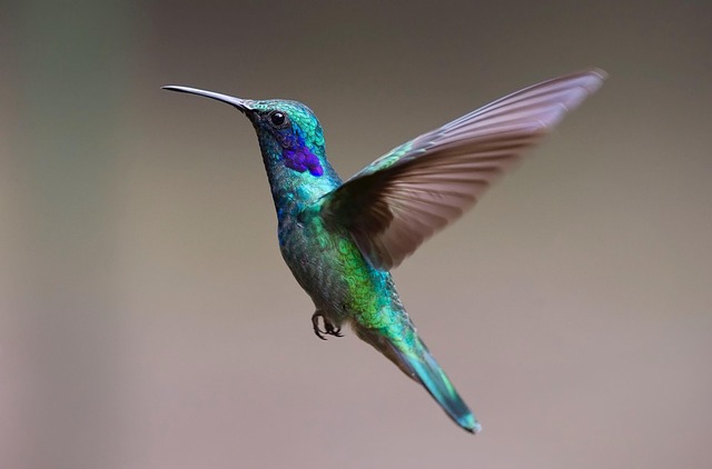 What the Data Doesn't Tell You — 2026 Flying Blue Promo