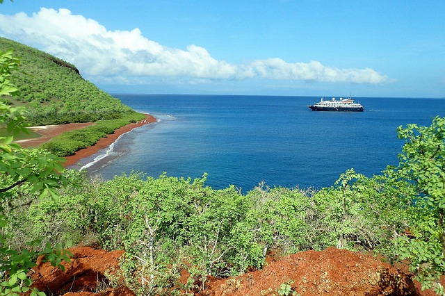 T-6 vs T-12 — 2026 Galapagos cruise booking