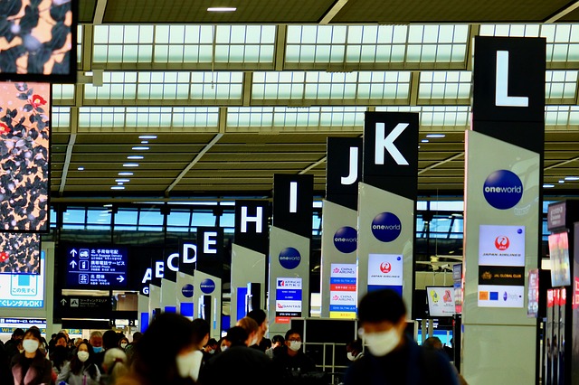 331 Days or Wait: The Two Strategies — 2026 Japan Airlines business class