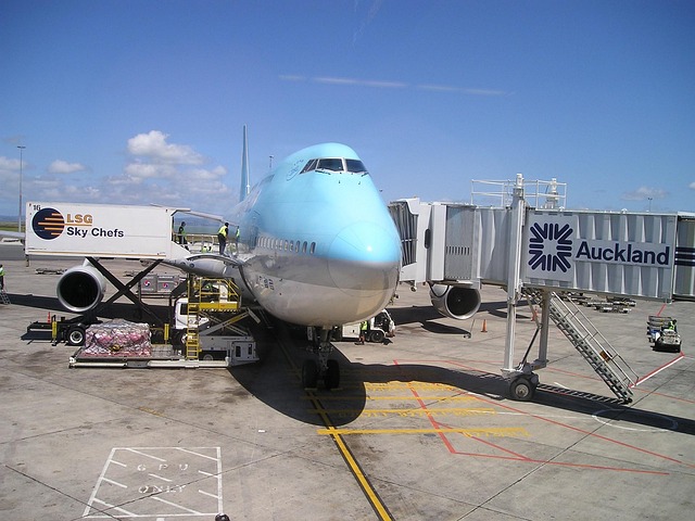 The Decision Framework — 2026 Korean Air & JAL Mistake