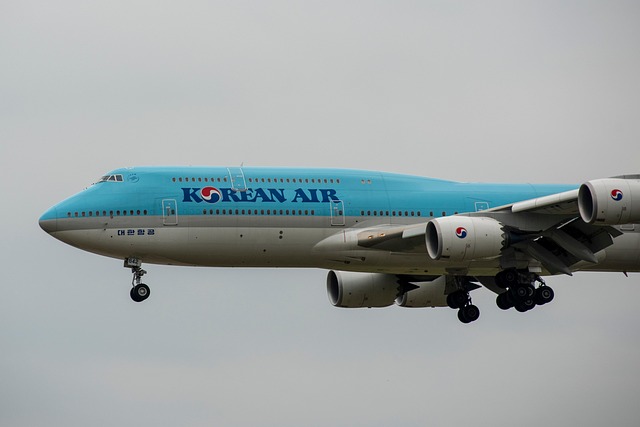 airplane flying sky gloomy plane aircraft aviation travel flight nature transport transportation korean air