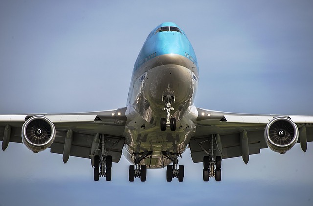 korean air airline airplane aircraft travel plane transportation holiday traveler blue plane