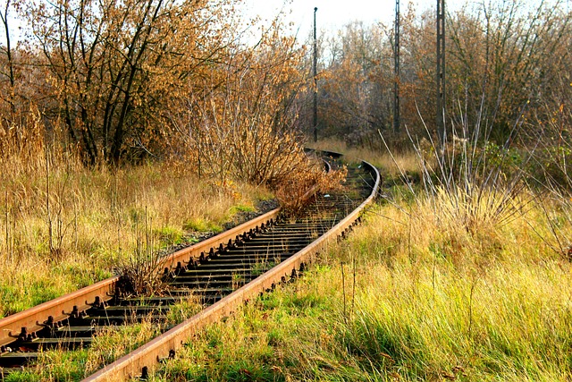 rail rails route transport tracks abandoned railway autumn old forget passing away past