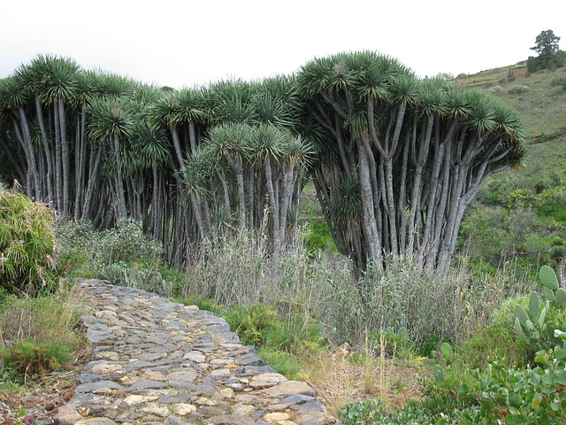 Common Mistakes — 3 great L.A. hikes to check