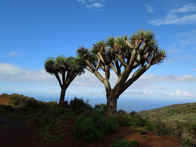 How It Works — 3 great L.A. hikes to check