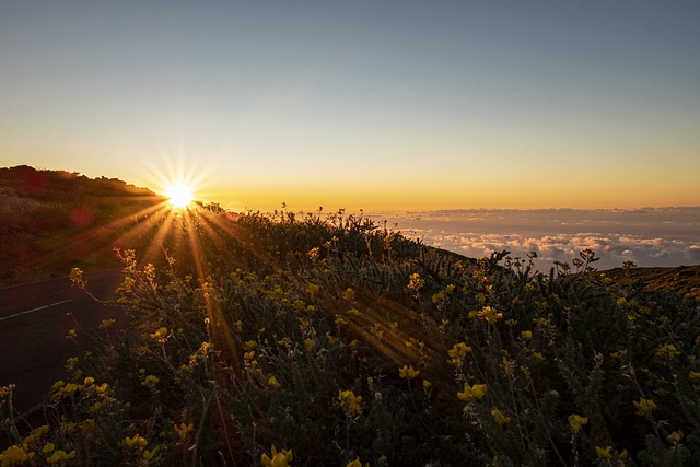 Insider Tactics — 3 great L.A. hikes to check