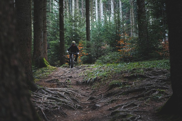 Key Factors to Consider — 8 breezy bike trails that teach