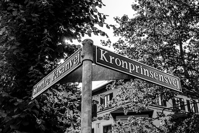 sign road path corner orientation metal denmark copenhagen black and white city guide orientation system find looking fo