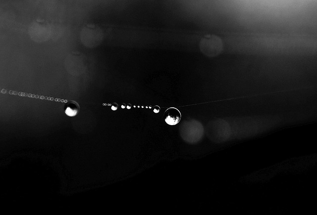 The Evidence: What AA Publishes vs What It Doesn't — AA Web Special Awards on Flagship