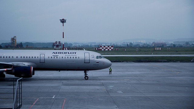 saeroflot aeroflot amolet large in the air boeing 737 800 nature vnukovo airport airbus airline summer domodedovo the ai