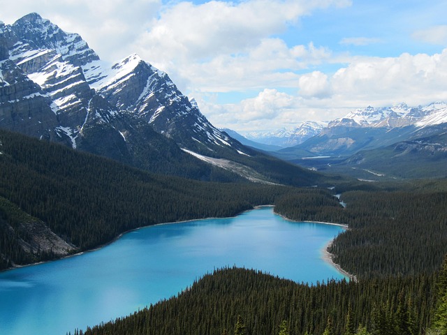 What the Evidence Does Not Establish — Air Canada stopover points 2026