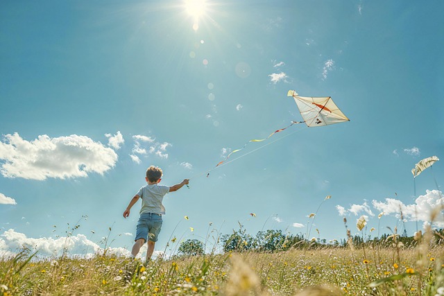 kid kite field darling sunny summer nature liberty play open air blue green fun childhood fly exercise prairie happiness