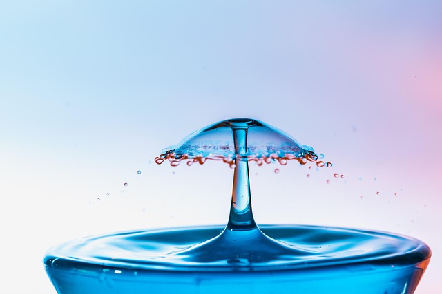 Scanner and Seal Exceptions — Airport Liquid Rules 2026