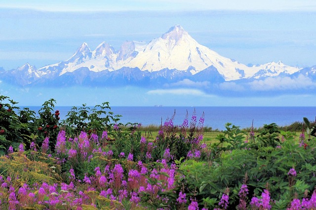Key Factors to Consider — Alaska & United Fall LAX Route