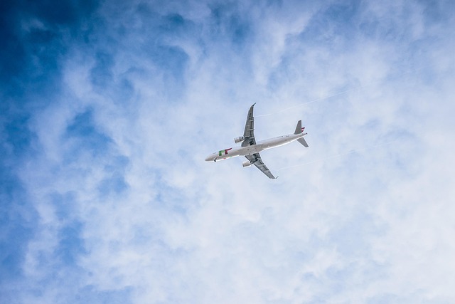 What the Upgrade Stats Hide — American Airlines upgrade rules 2026