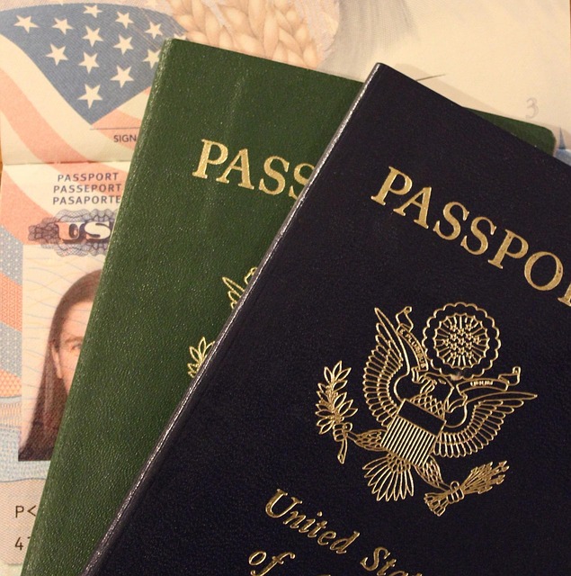 Modeled Flight Timeline — American Passport Renewal
