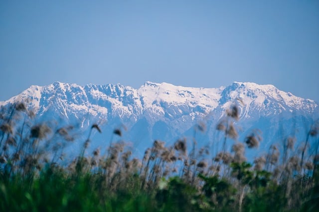 What the Data Doesn't Tell You — Amsterdam to Antalya flights