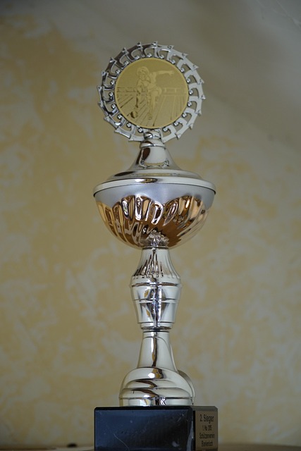cup prize award trophy victory competition success winner golden best first championship shiny bowling trophy trophy tro