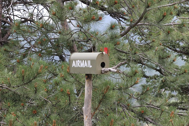 Common Mistakes — ANA First Class via Virgin Points