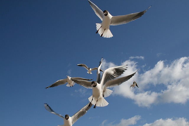 Costs and numbers that matter — Baltic summer flights 2026