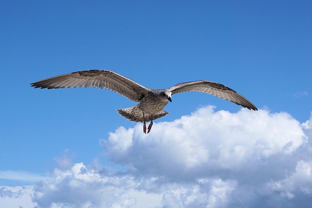 Connecting vs nonstop: head-to-head — Baltic summer flights 2026
