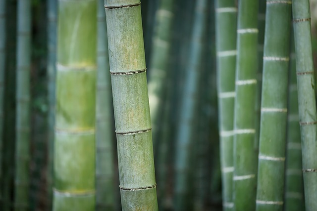 Key Factors to Consider — Bamboo Airways 9M Asset Sale