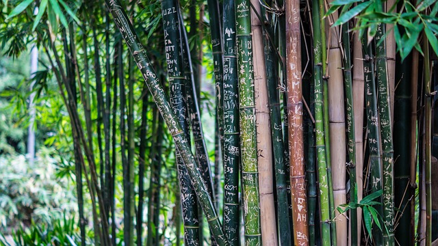 Common Mistakes — Bamboo Airways 9M Asset Sale
