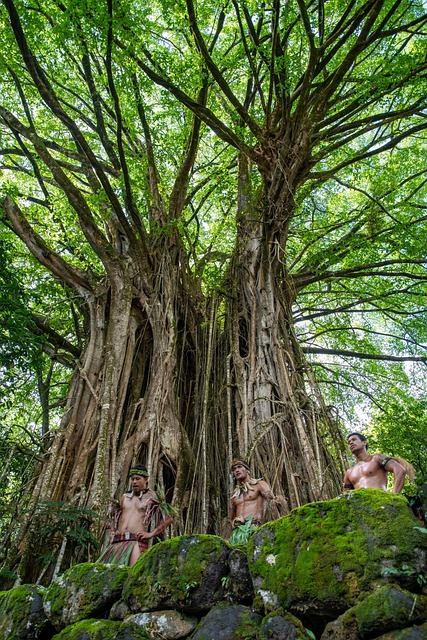 The Cents-Per-Point Math You Must Run — Banyan Tree award nights