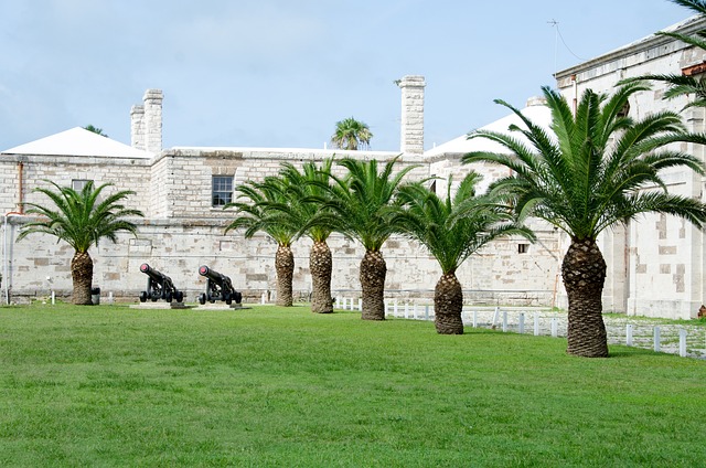 Worked Trip — Bermuda to Orlando flights