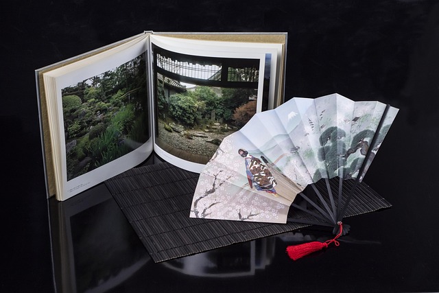 Compared — Book business class to Japan