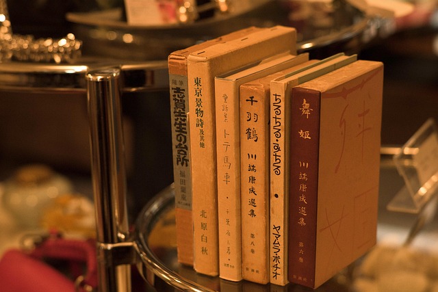 What the Data Doesn't Tell You — Book business class to Japan