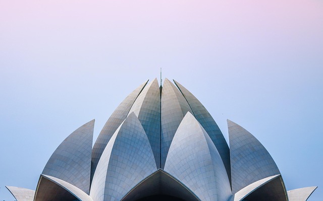 Live Receipts — Business class flights to Delhi