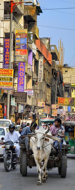 JFK-DOH-DEL Oct 14-28 Worked Case — Business class flights to Delhi