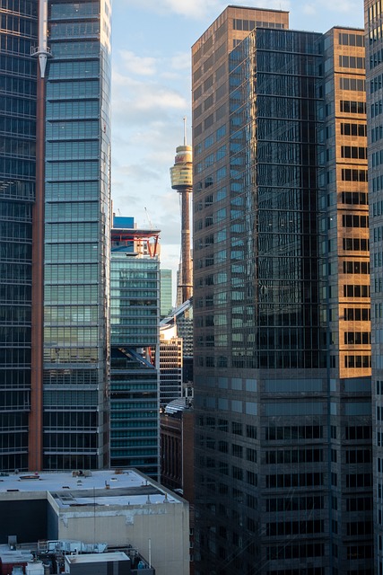 Live Screens From Verified Low Level to Flex Level — Business class flights to Sydney