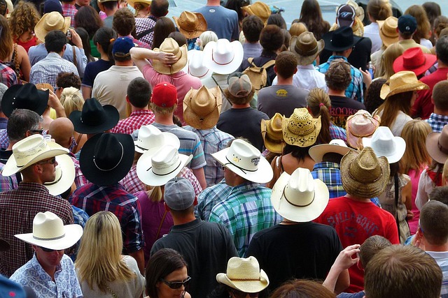 5-Hub January Fare Snapshot July 3-12 — Calgary Stampede flights