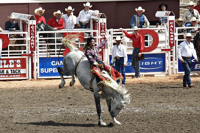 Cash vs Aeroplan Scoreboard for YYC — Calgary Stampede flights