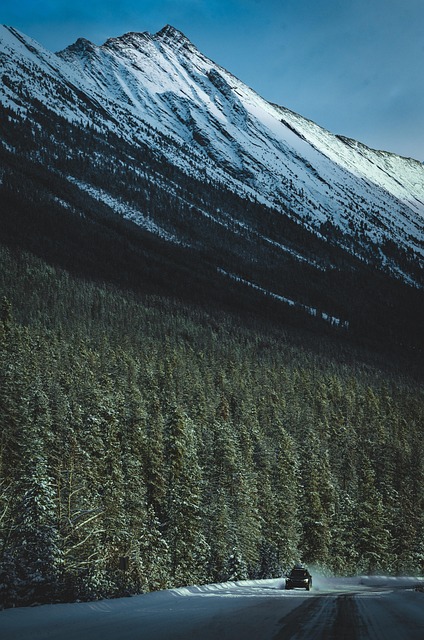 What the fee rules actually require you to see — Canada Europe error fares