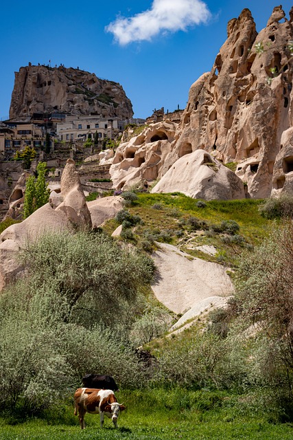 The evidence: fares and distances — Cappadocia 2026