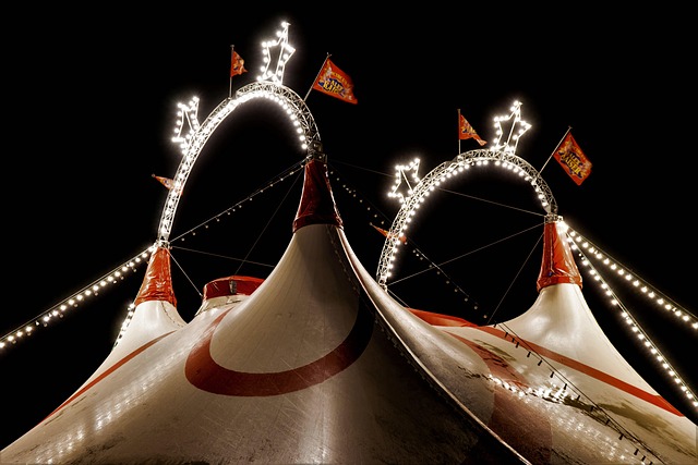 circus circus tent circus show artist clown time entertainment celebration marquee carnival festival event carnival tent