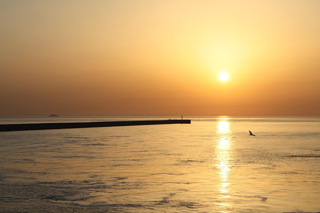 Live Receipts — Cheap business class flights to Heraklion