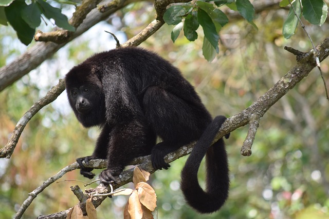 What the Data Doesn't Tell You — Cheap business class to Belize