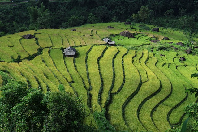 87-Cent Math — Cheap business class to Vietnam 2026