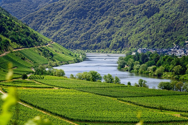 Evidence: What the Sources Actually Say — Chevreuse Valley by Bike