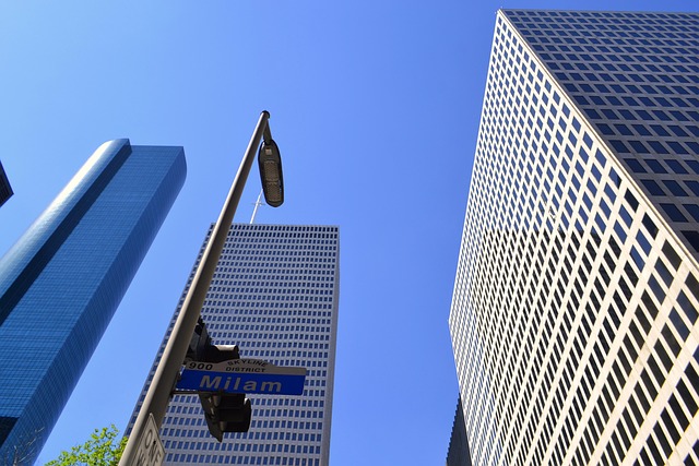 Evidence: what the card actually gives — Citi AAdvantage Executive Card